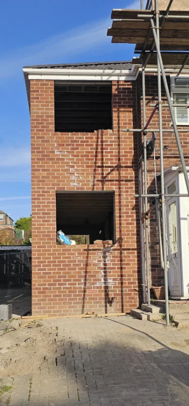 20241113_133142_resized